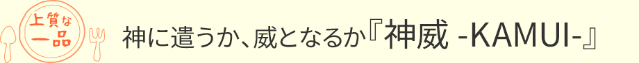 神に遣うか、威となるか『神威-KAMUI-』